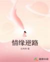 情缘逆路