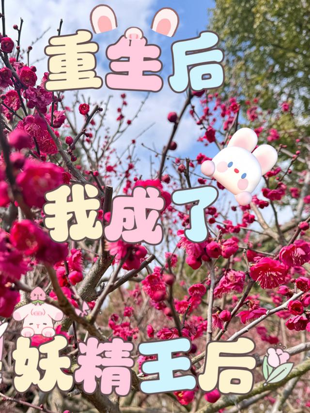 重生后我成了妖精王后