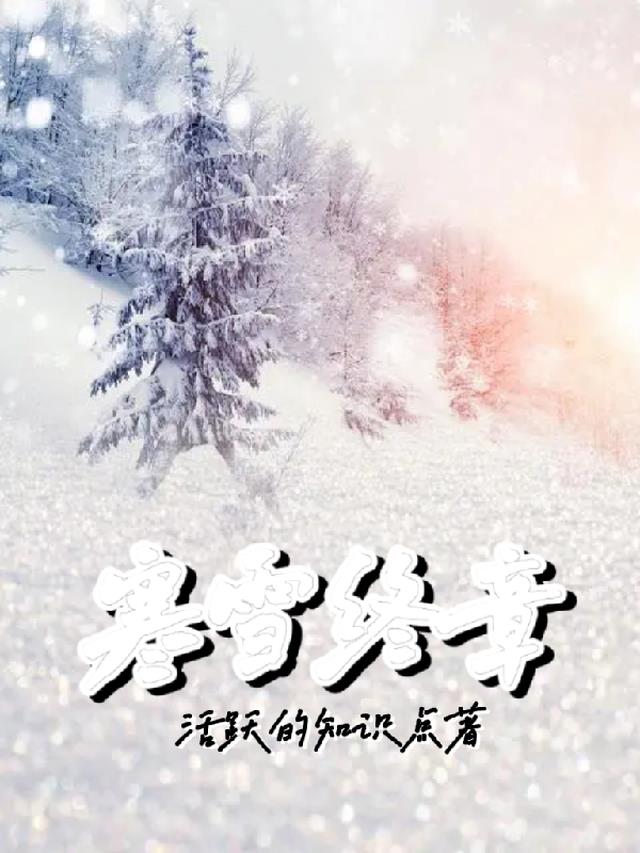 寒雪终章